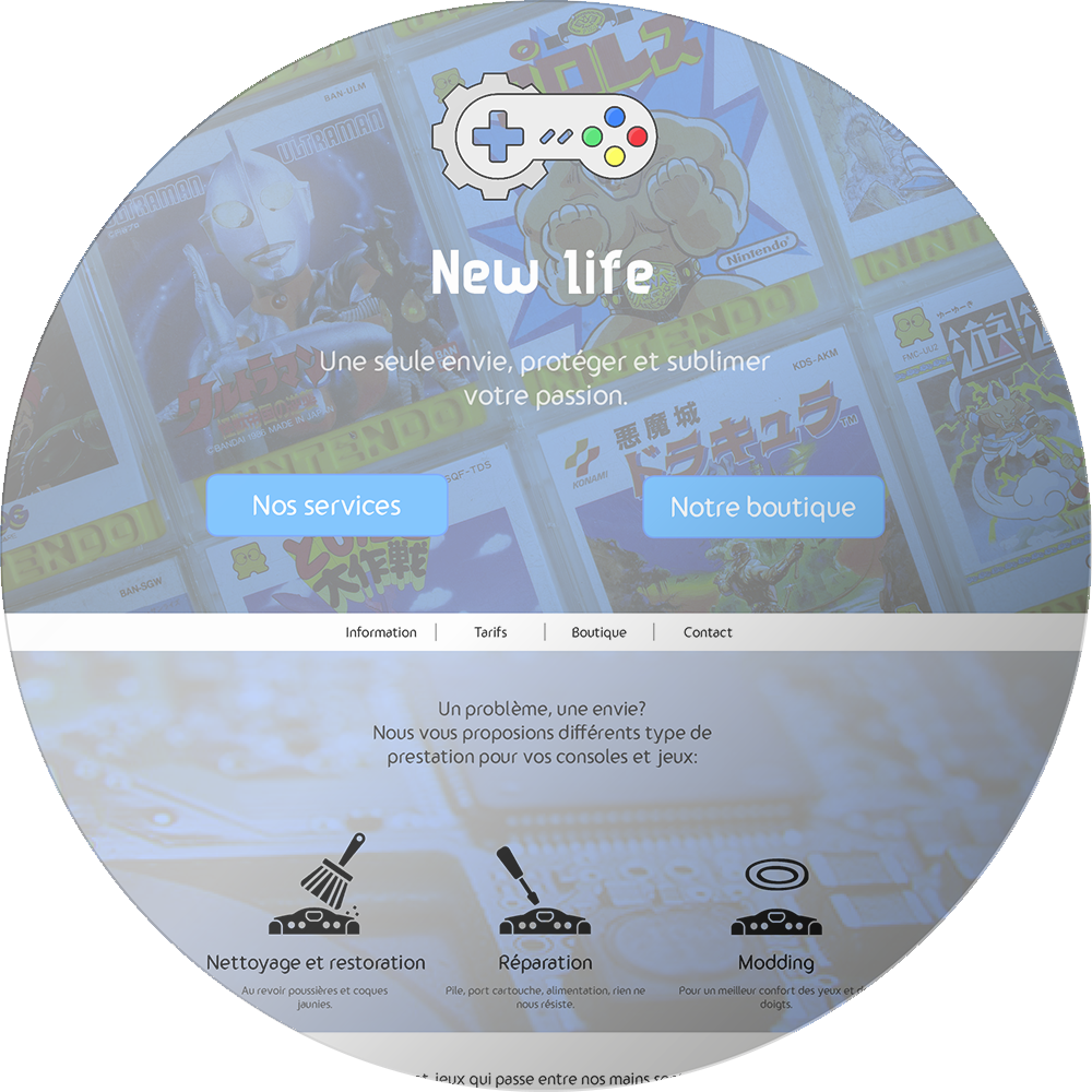 travaux pro developement web